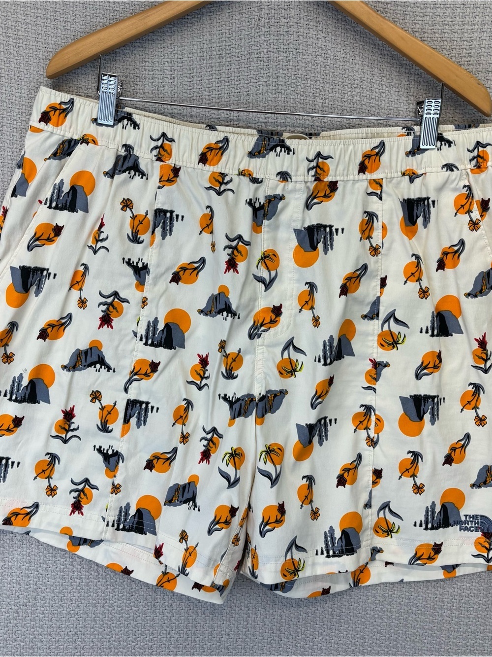 The North Face Class V Cream Color Sun Valley Desert Theme Pull On Shorts XXL